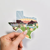 Texas Sticker
