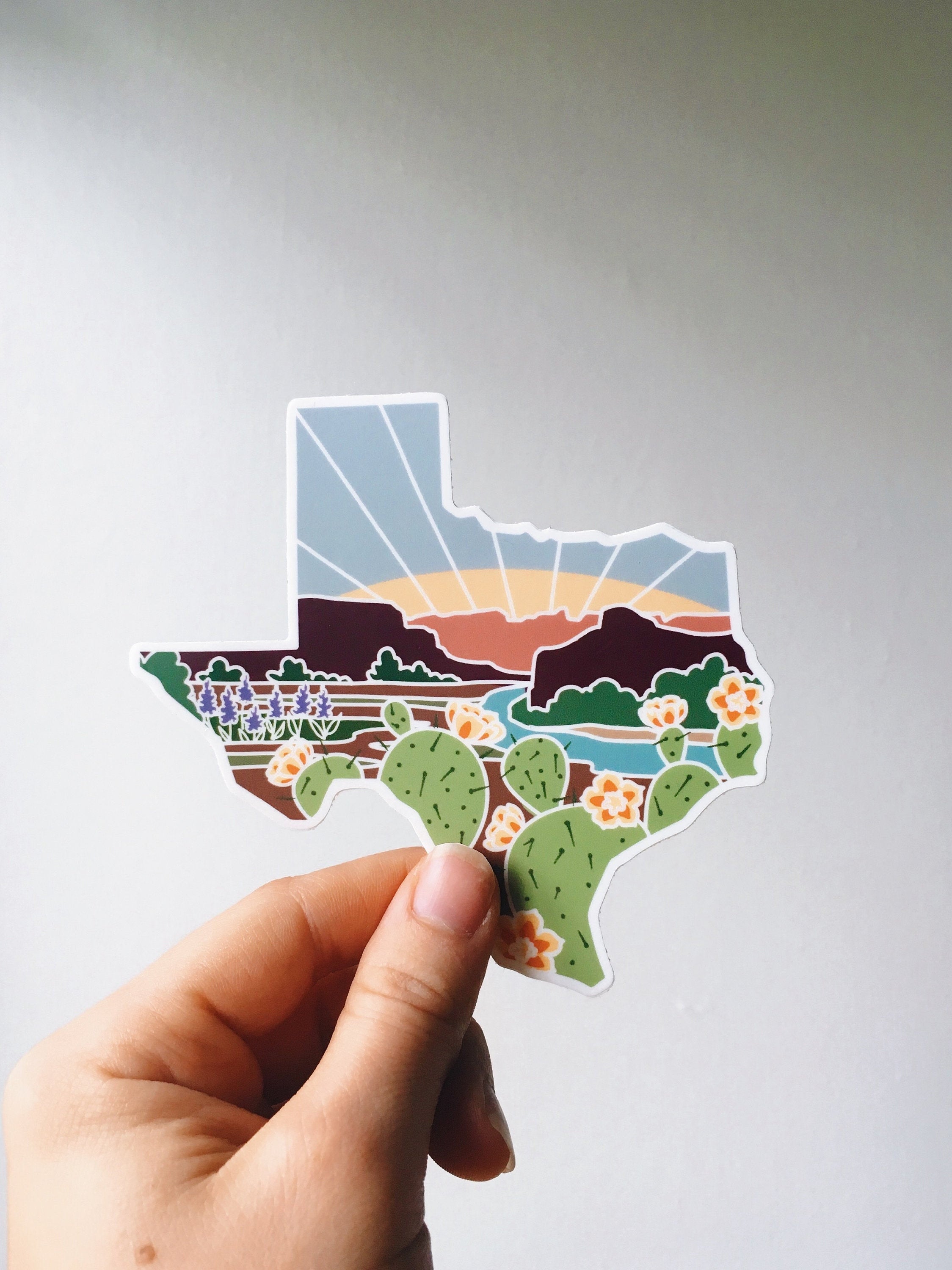 Texas Durable Sticker | High Quality Bumper Sticker | United States Vinyl Decal | Weatherproof State Sticker | Water Bottle Sticker | 4"