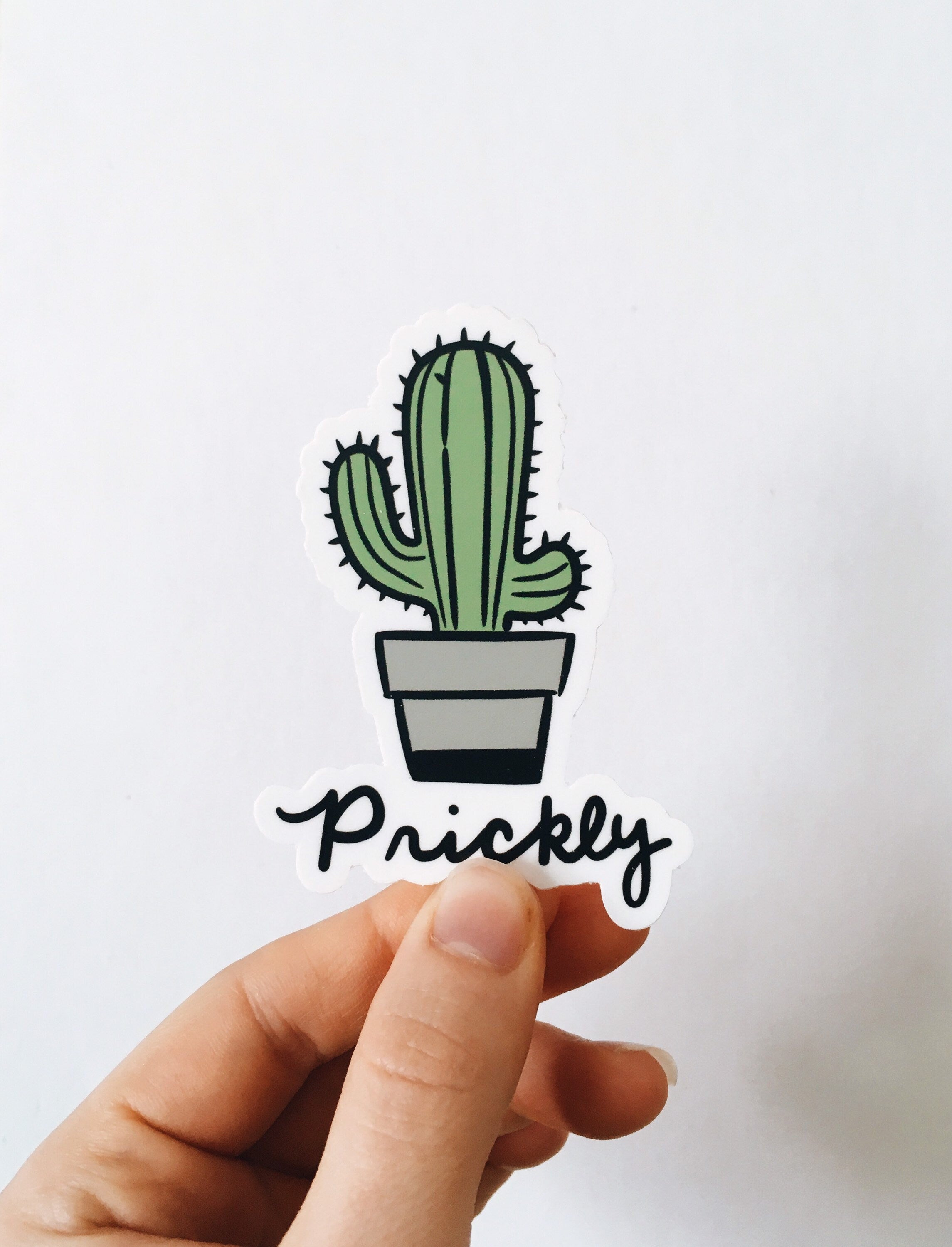 Funny Cactus Weatherproof, Durable Sticker | Vinyl Decal | Waterbottle, Laptop decal | Plant Lover Gift | Cactus Decal | Millennial Gift