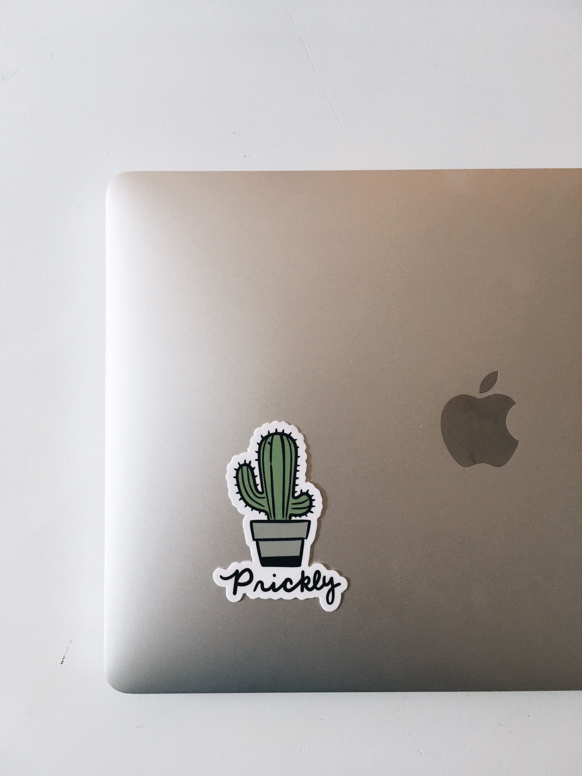 Funny Cactus Weatherproof, Durable Sticker | Vinyl Decal | Waterbottle, Laptop decal | Plant Lover Gift | Cactus Decal | Millennial Gift