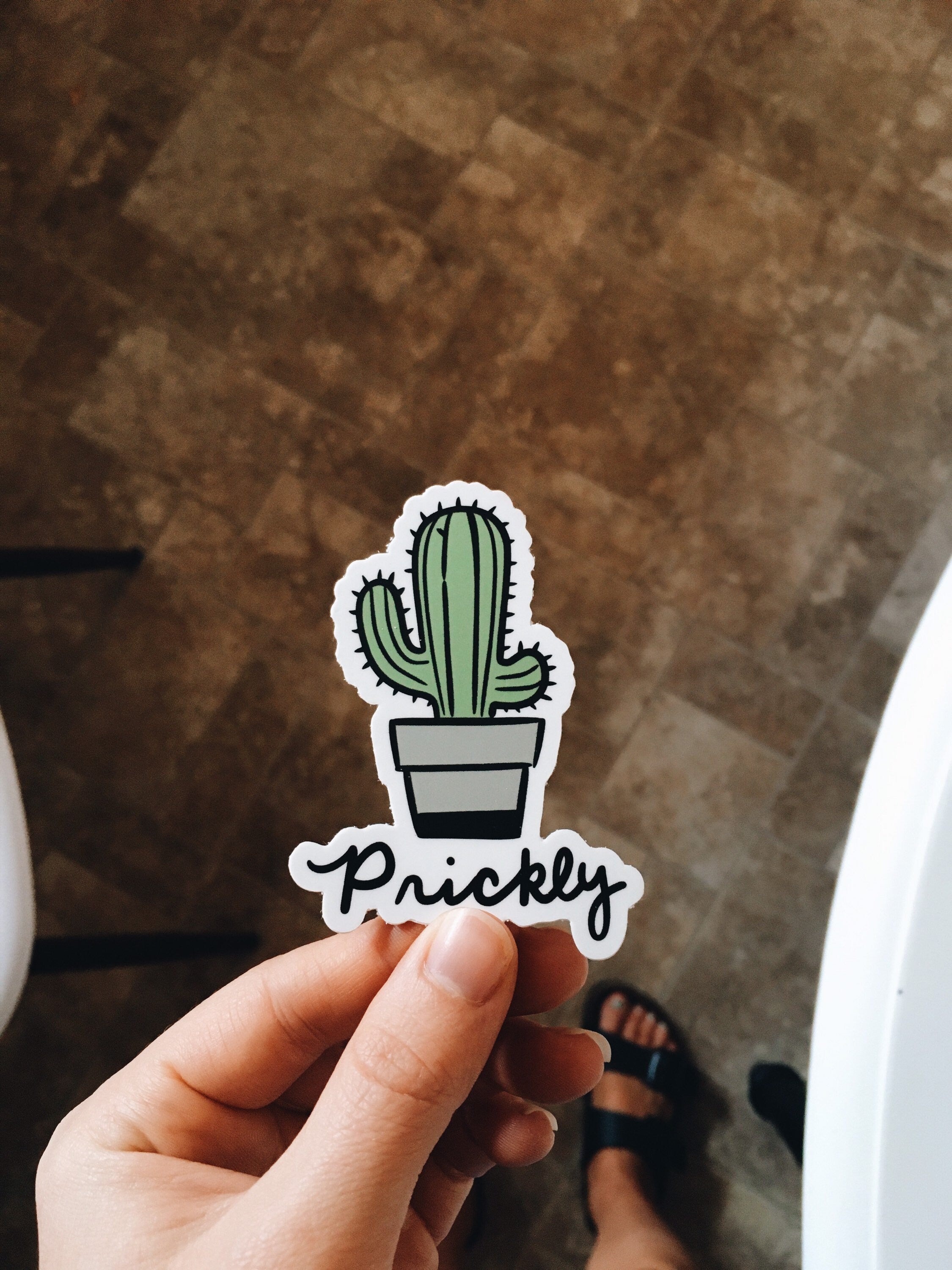 Funny Cactus Weatherproof, Durable Sticker | Vinyl Decal | Waterbottle, Laptop decal | Plant Lover Gift | Cactus Decal | Millennial Gift