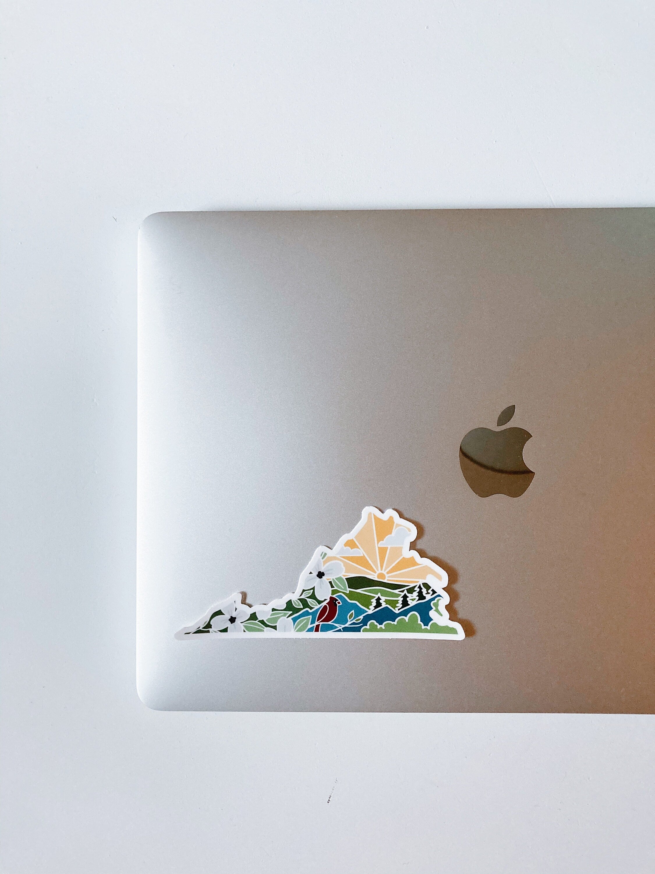Virginia Weatherproof, Durable Sticker | Virginia Outline | Illustrated State Sticker | Vinyl Decal | Outdoor Sticker | Bumper Sticker | 4"