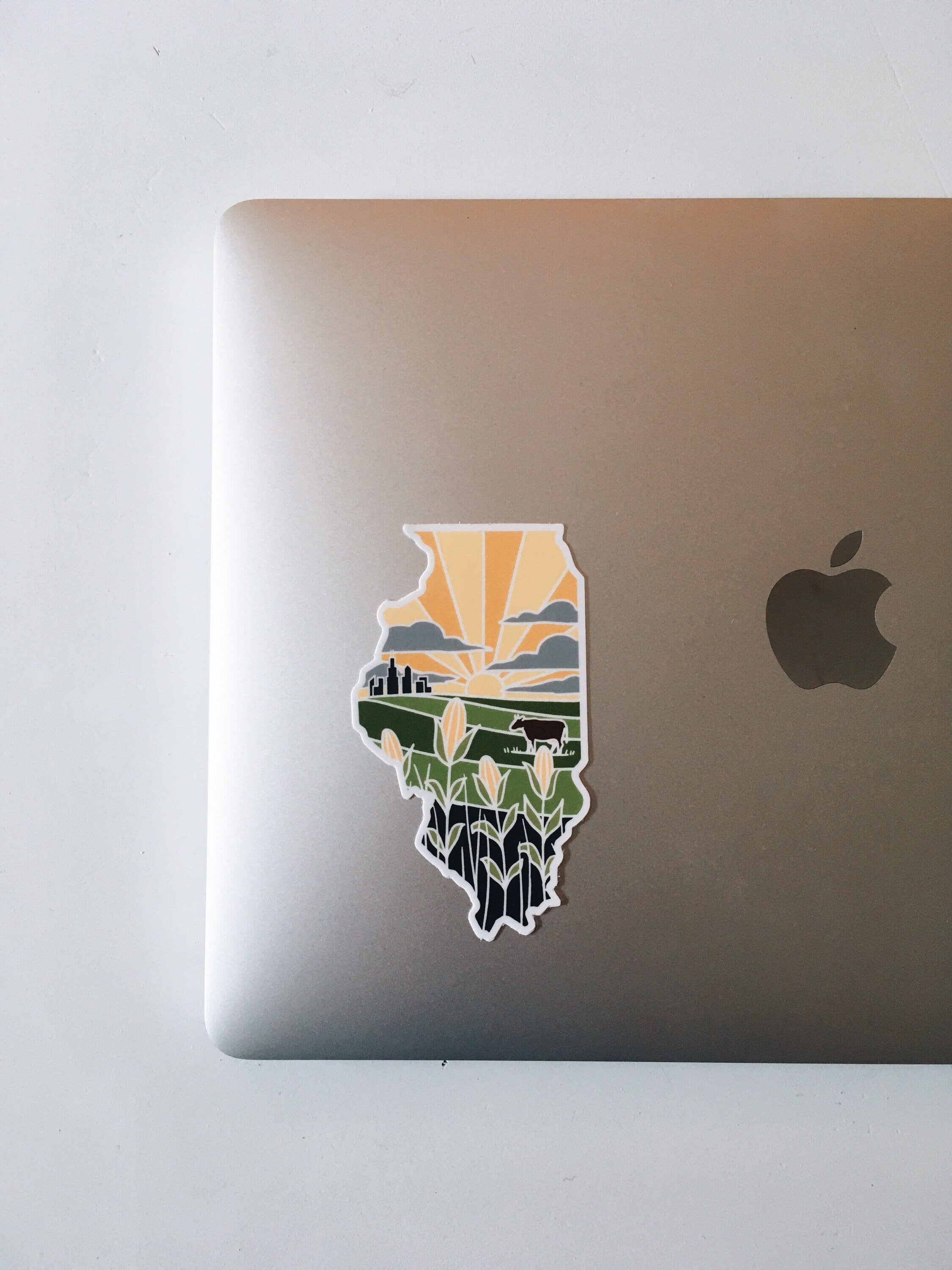 Illinois Weatherproof Durable Sticker | Illinois Outline | Illustrated State Sticker | Vinyl Decal | Outdoor Sticker | Bumper Sticker | 4"