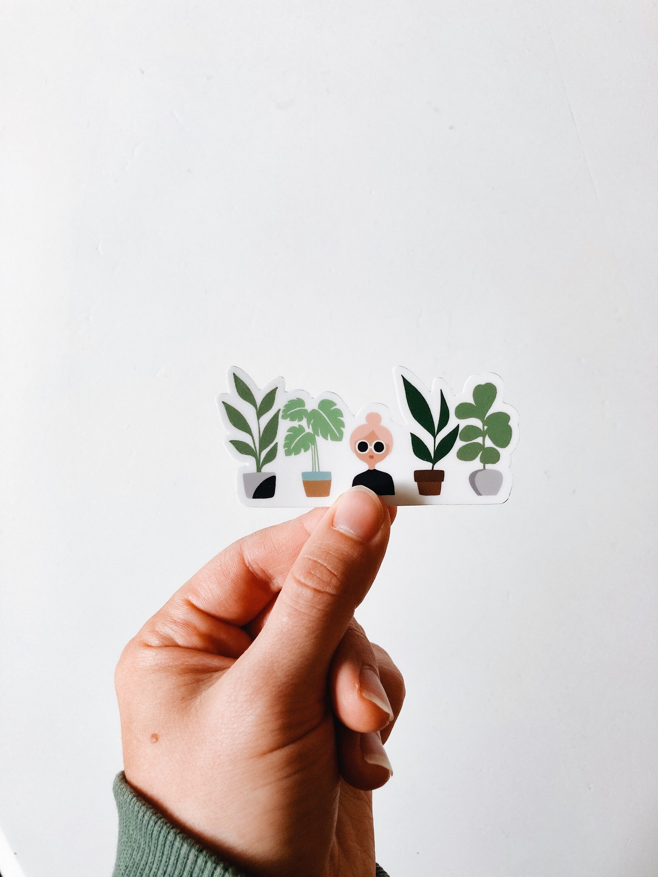 Crazy Plant Lady Weatherproof, Durable Sticker | Waterproof | Plant Lover | Monstera | Vinyl Decal | Water Bottle Sticker | Phone decal