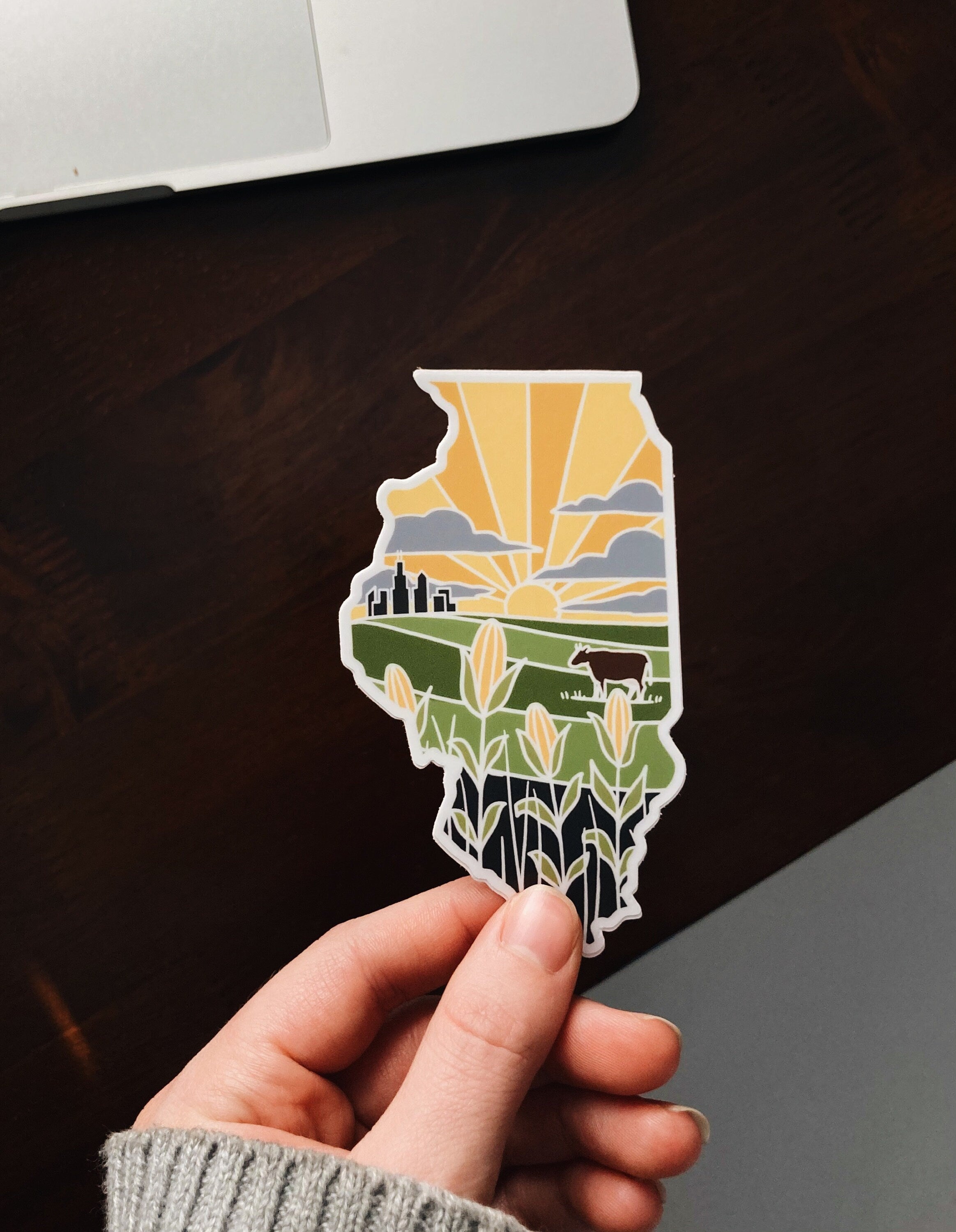 Illinois Weatherproof Durable Sticker | Illinois Outline | Illustrated State Sticker | Vinyl Decal | Outdoor Sticker | Bumper Sticker | 4"