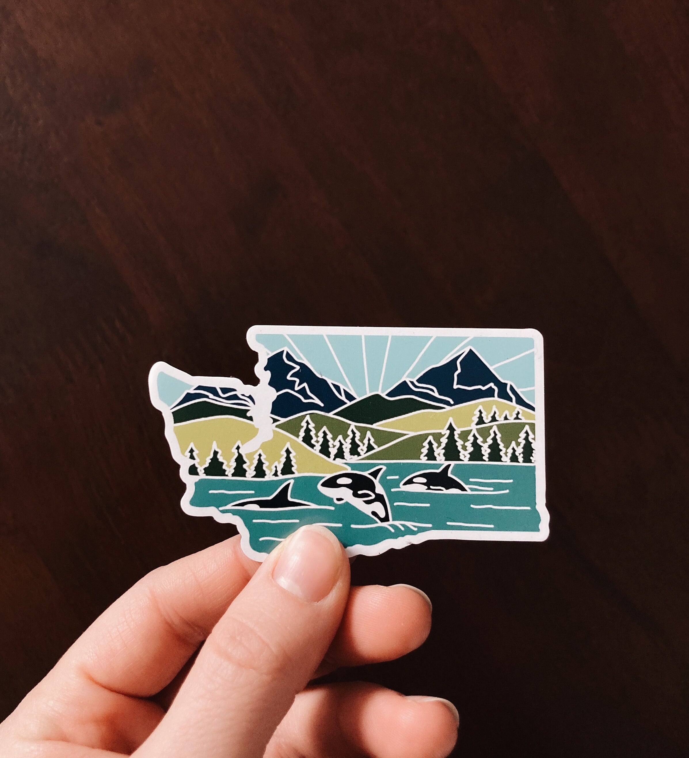 Washington Car Magnet | Weatherproof State Magnet | Outdoorsy Magnet | Washington Gift | Locker Magnet | Fridge Magnet | Decorative Magnet