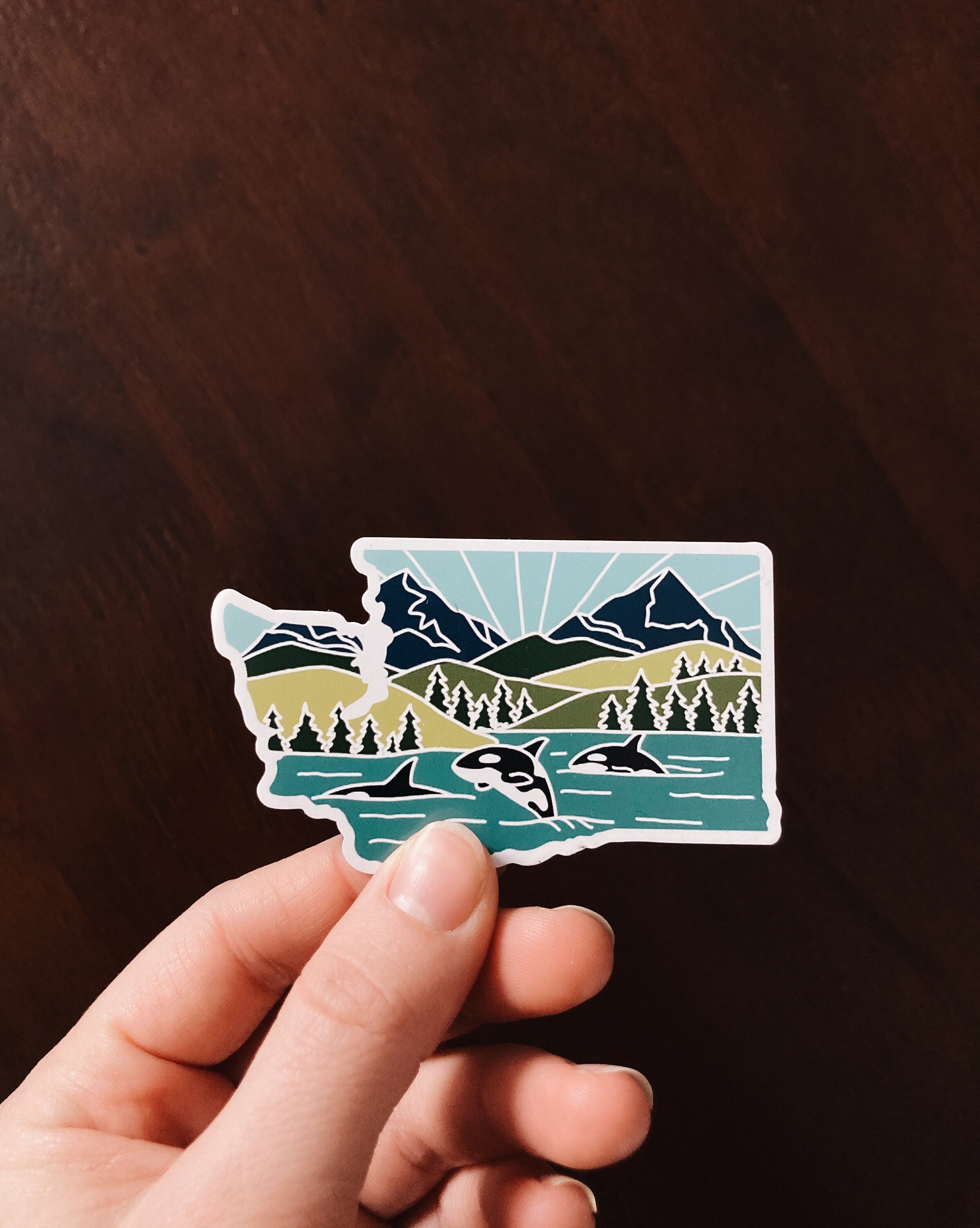 Washington Car Magnet | Weatherproof State Magnet | Outdoorsy Magnet | Washington Gift | Locker Magnet | Fridge Magnet | Decorative Magnet