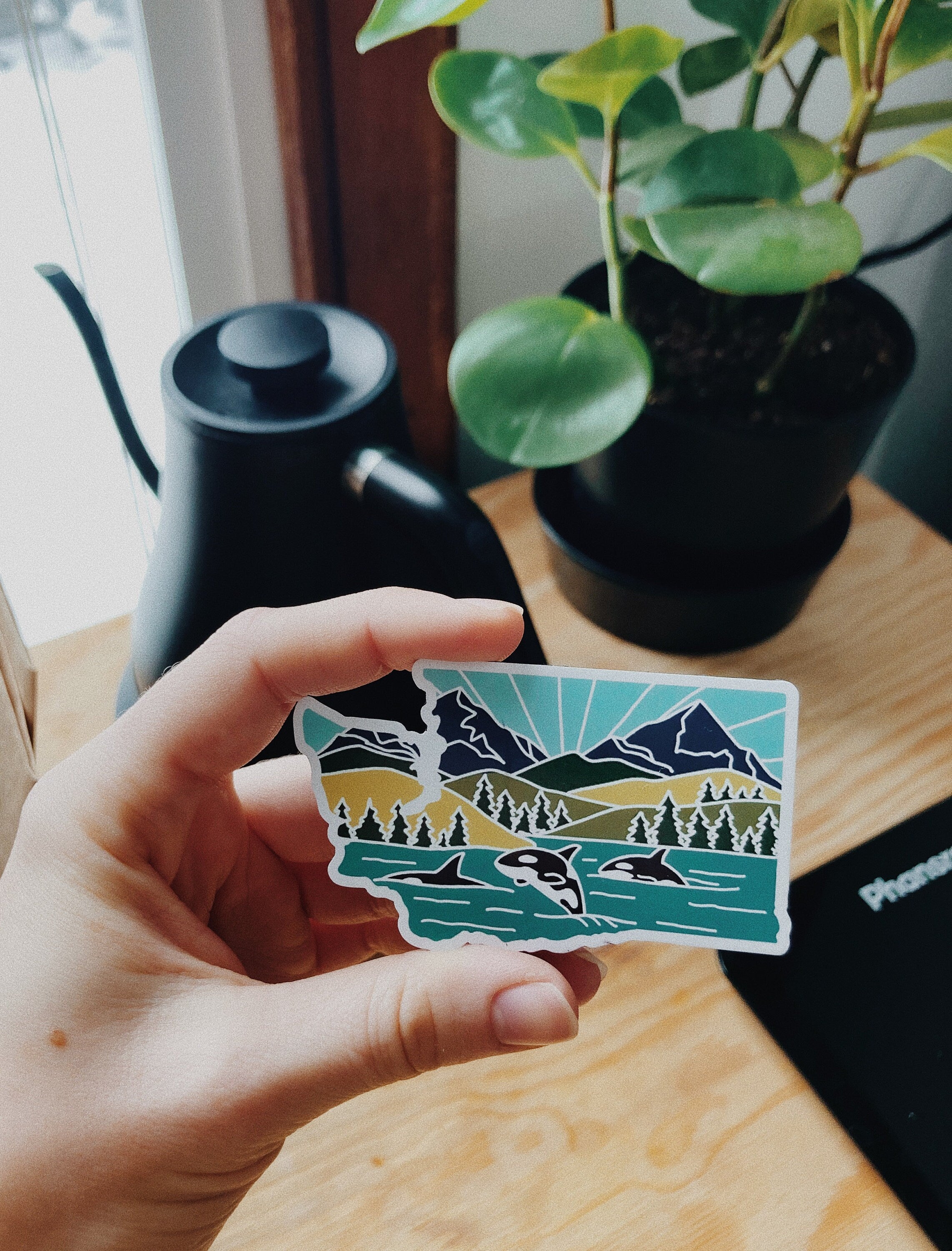 Washington Car Magnet | Weatherproof State Magnet | Outdoorsy Magnet | Washington Gift | Locker Magnet | Fridge Magnet | Decorative Magnet