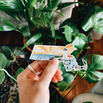 Massachusetts Car Magnet | Weatherproof State Magnet | Outdoorsy Magnet | Locker Magnet | Fridge Magnet | Lightweight Magnet