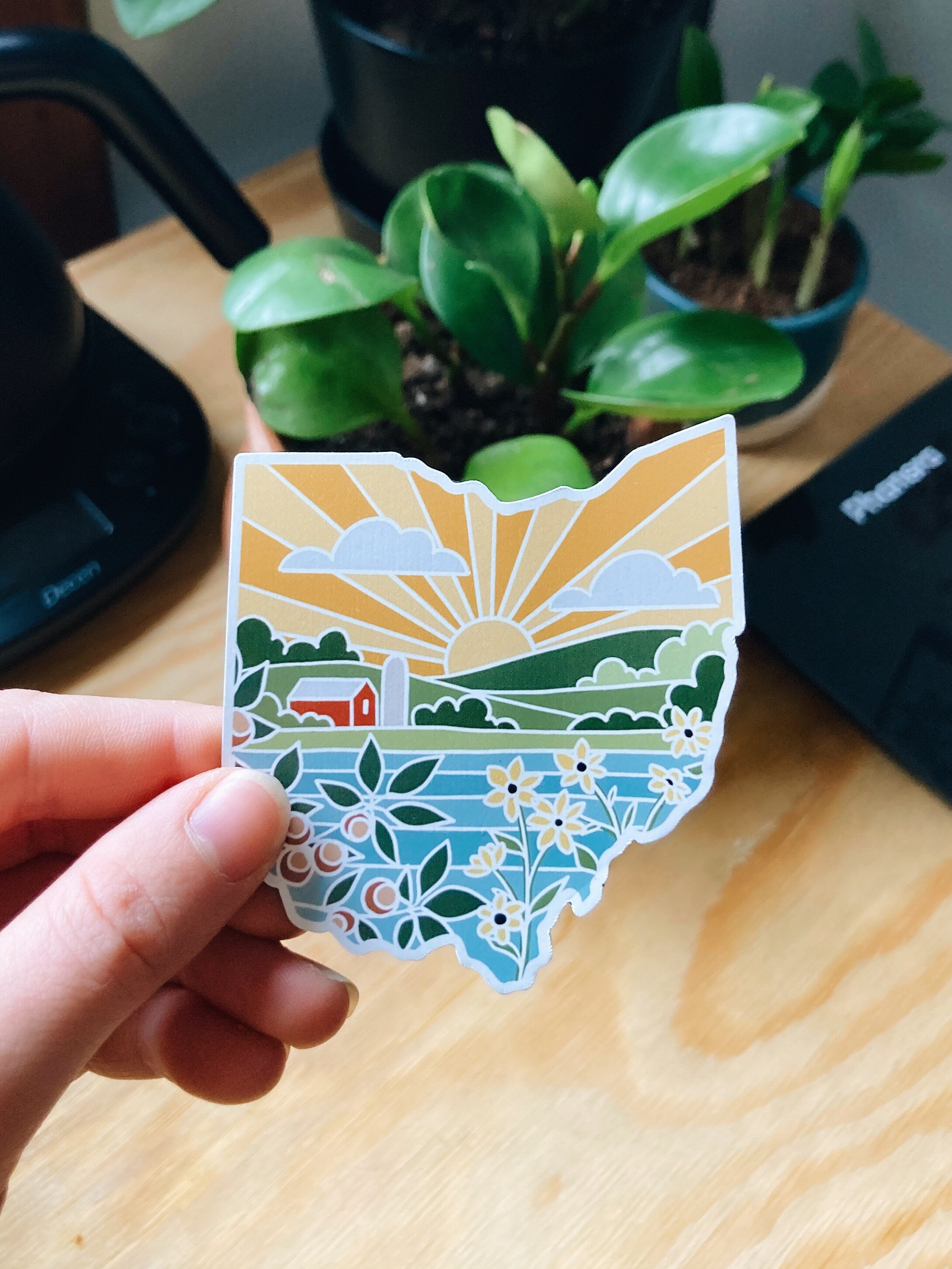 Ohio Car Magnet | Weatherproof State Magnet | Outdoorsy Magnet | Locker Magnet | Fridge Magnet | Lightweight Magnet | 2.77" x 3"