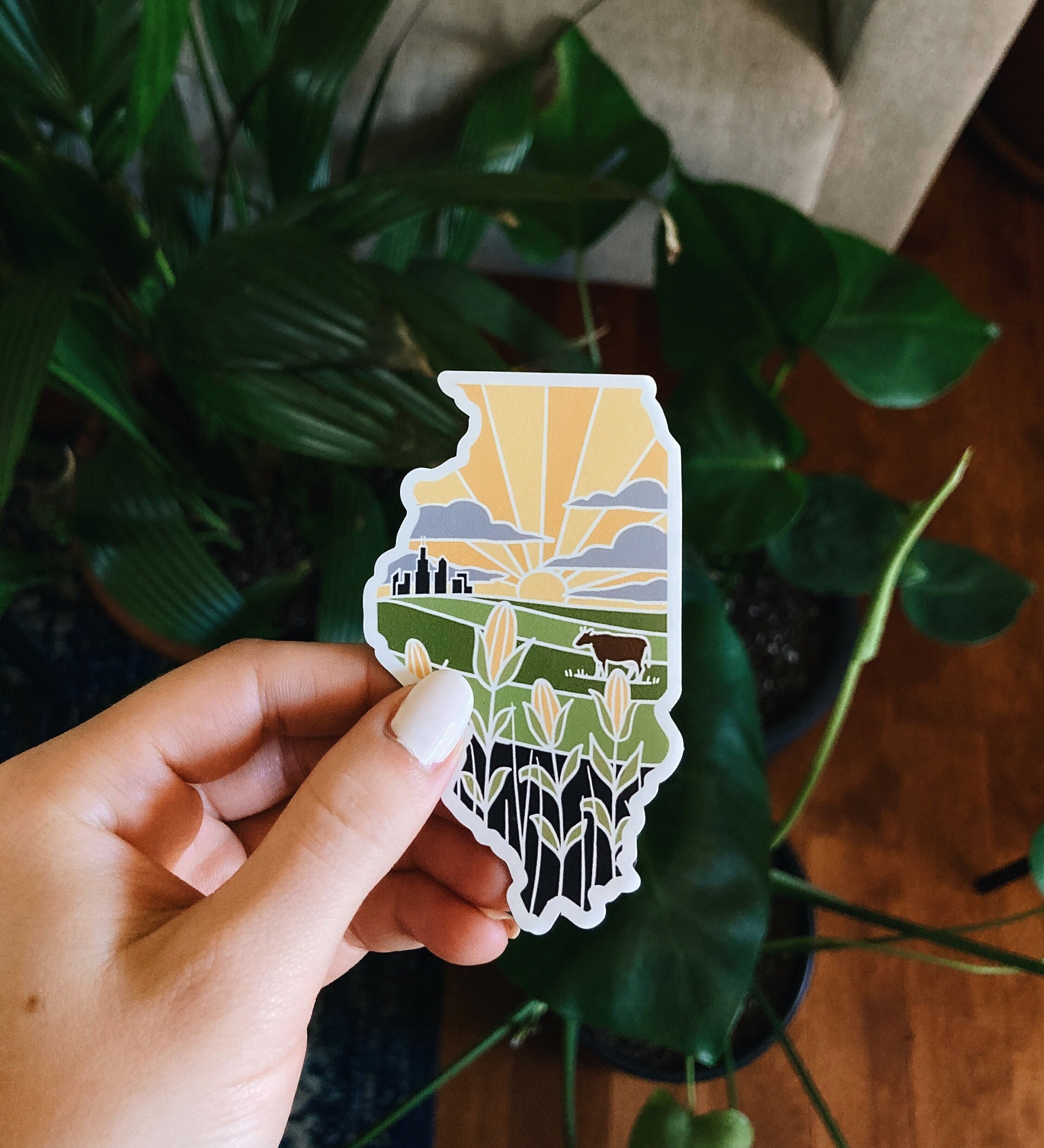 Illinois Magnet | Car Magnet | Car Magnet | Illinois Gift | Locker Magnet | Fridge Magnet | Decorative Magnet