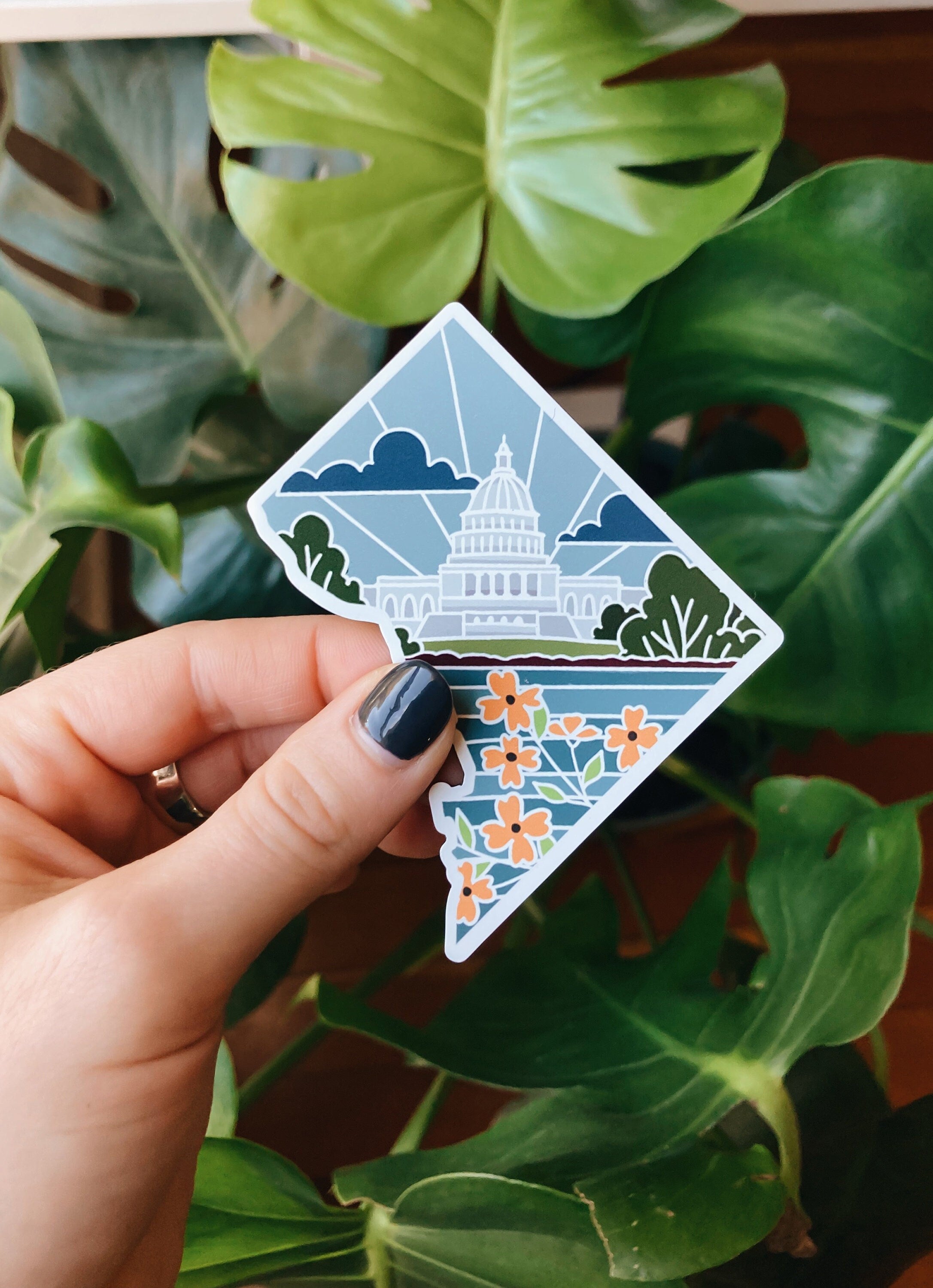 Washington D.C. Car Magnet | Car Magnet | Outdoorsy Magnet | Locker Magnet | Fridge Magnet | Lightweight Magnet