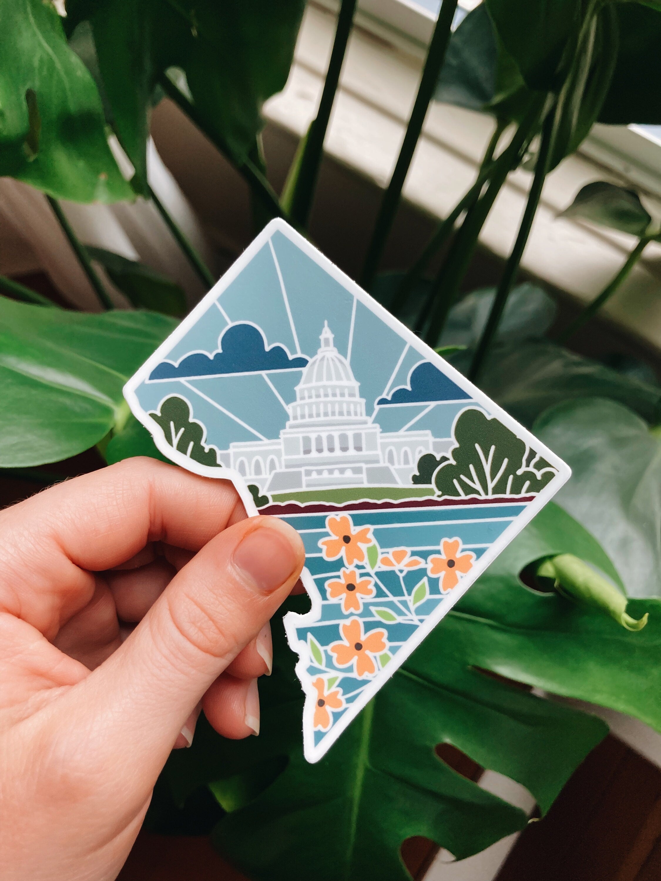 D.C. Weatherproof, Durable Sticker | Waterbottle Sticker | Illustrated United States Sticker | Vinyl Decal | Outdoorsy Bumper Sticker | 4"