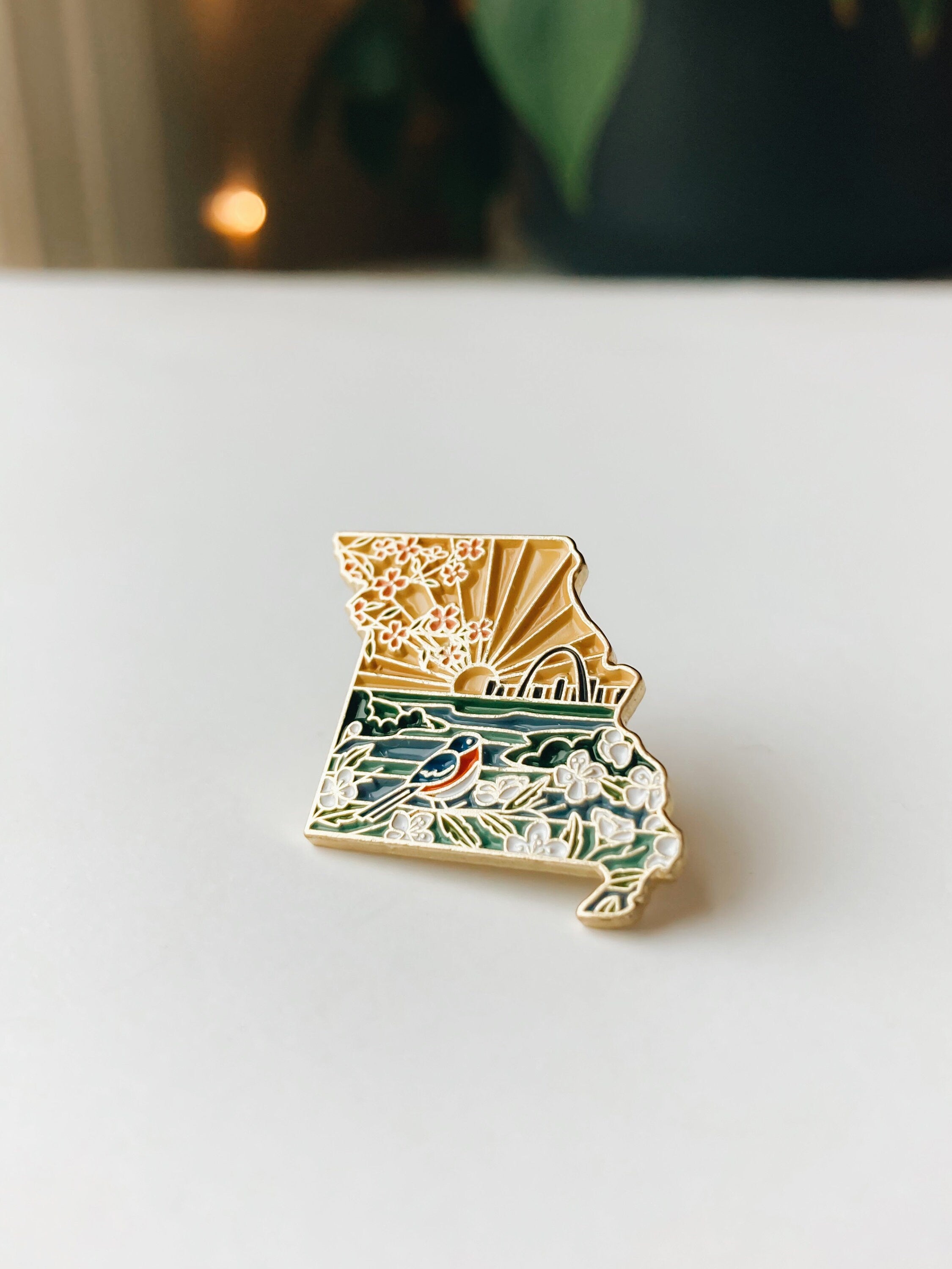 Missouri Enamel Pin | Gold Soft Enamel Pin | Illustrated United States Pin | Butterfly Clasp | 1.25"