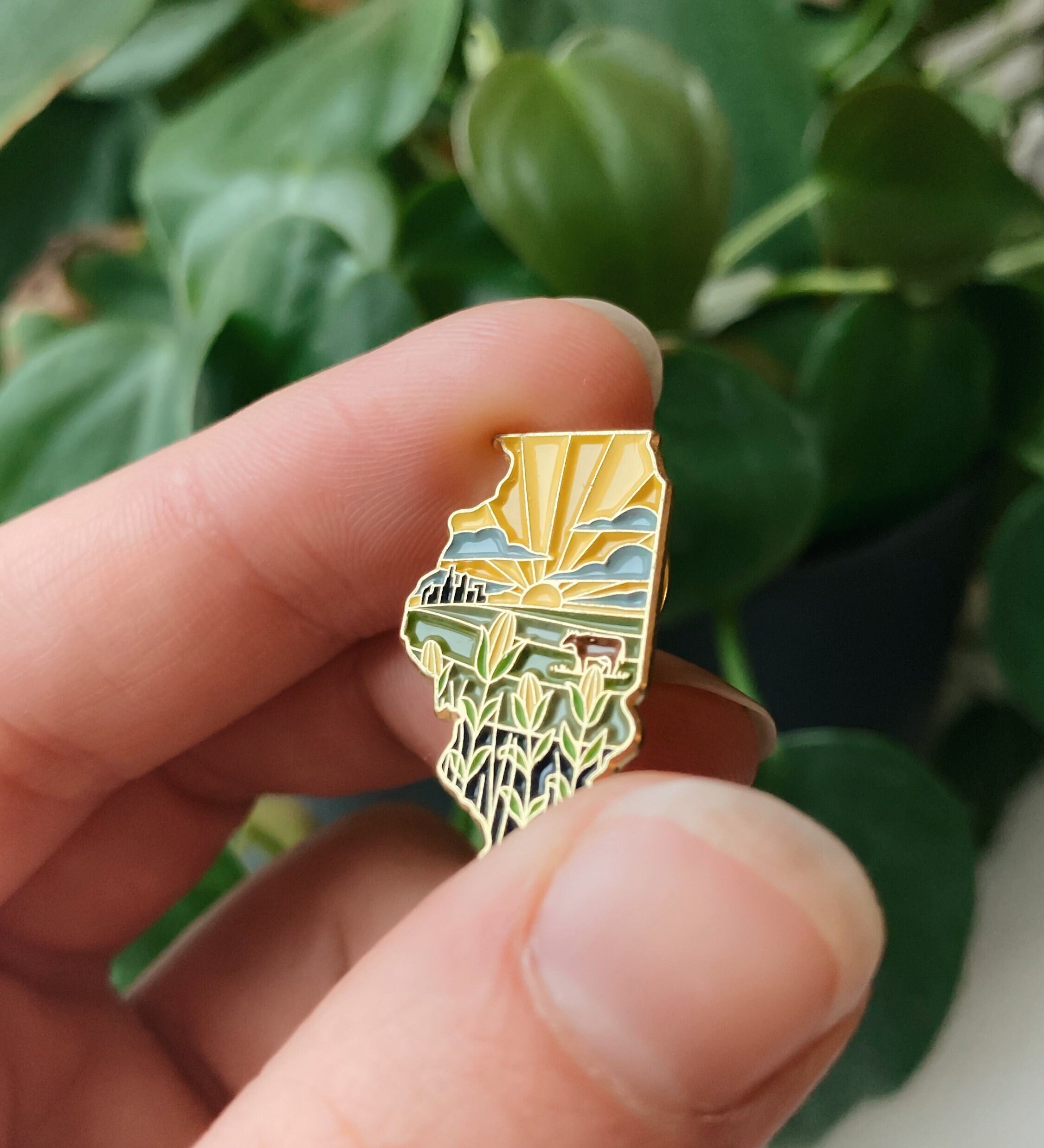 Illinois Enamel Pin | Gold Soft Enamel Pin | Illustrated United States Pin | Butterfly Clasp | 1.25"