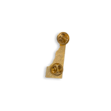 Delaware Pin