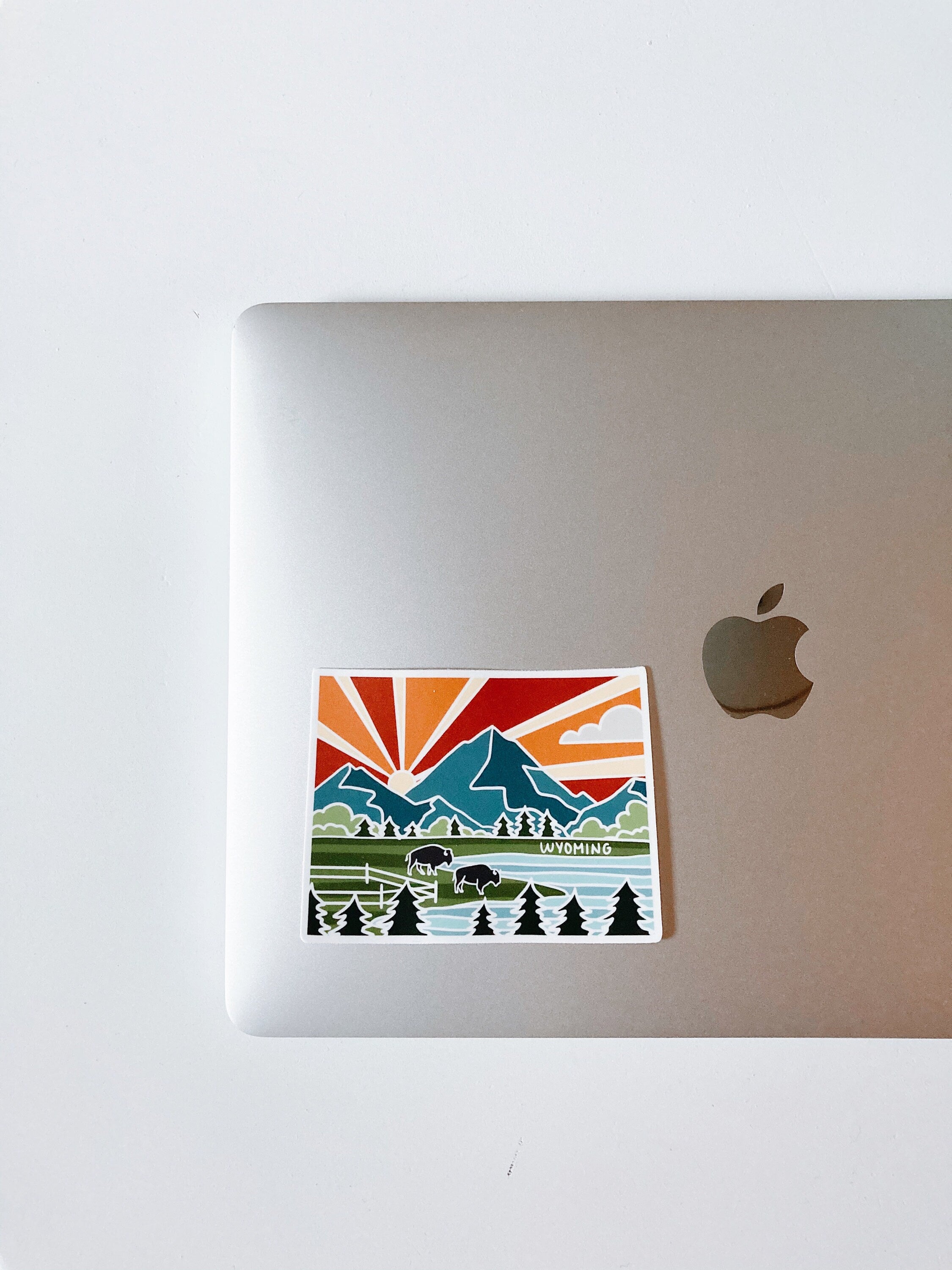 Wyoming Weatherproof, Durable Sticker | Wyoming Outline | Illustrated State Sticker | Vinyl Decal | Outdoor Sticker | Bumper Sticker | 4"