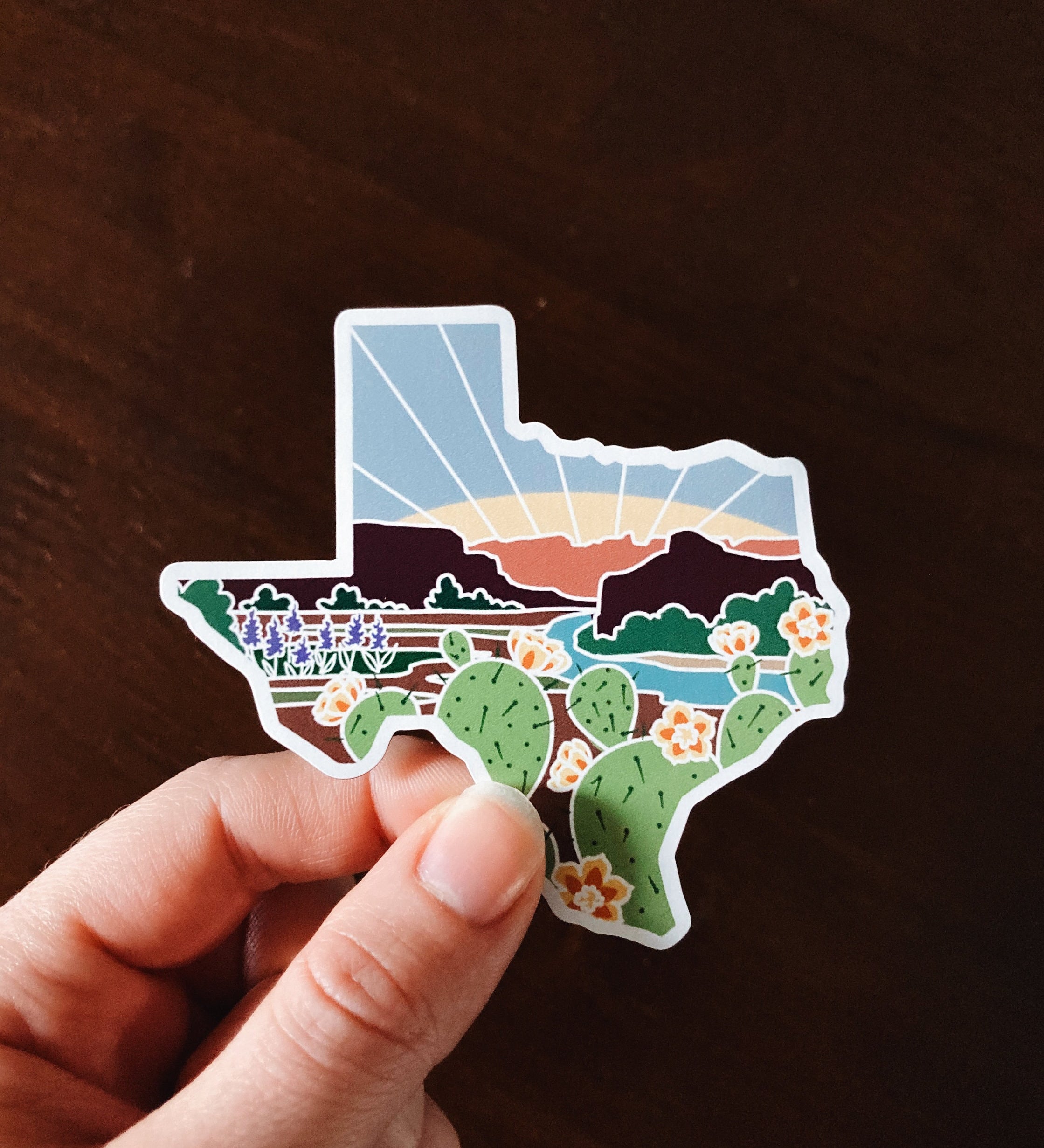 Texas Car Magnet | Illustrated Weatherproof State Magnet | Outdoorsy Magnet | Texas Gift | Car Magnet | Fridge Magnet