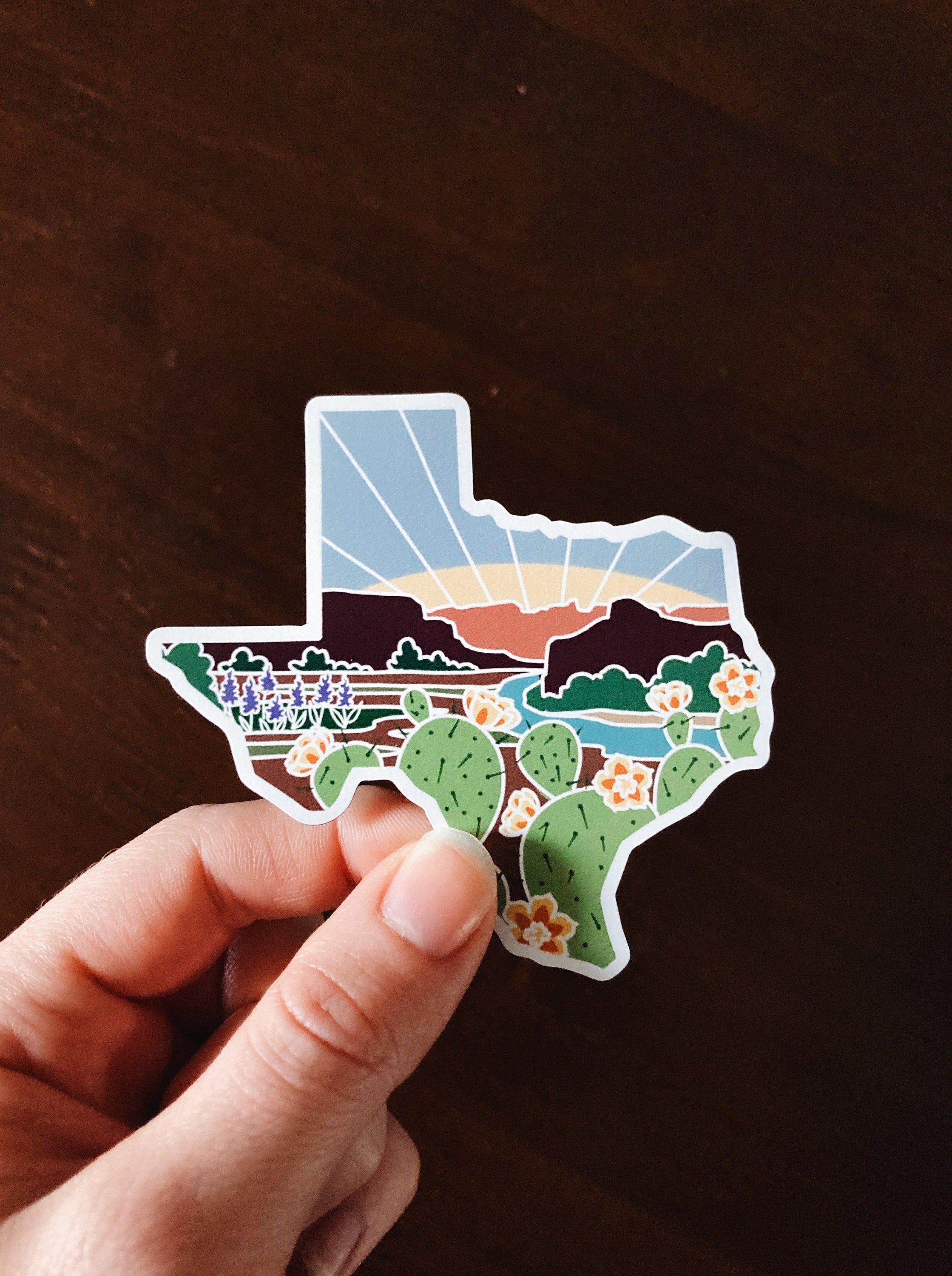 Texas Car Magnet | Illustrated Weatherproof State Magnet | Outdoorsy Magnet | Texas Gift | Car Magnet | Fridge Magnet