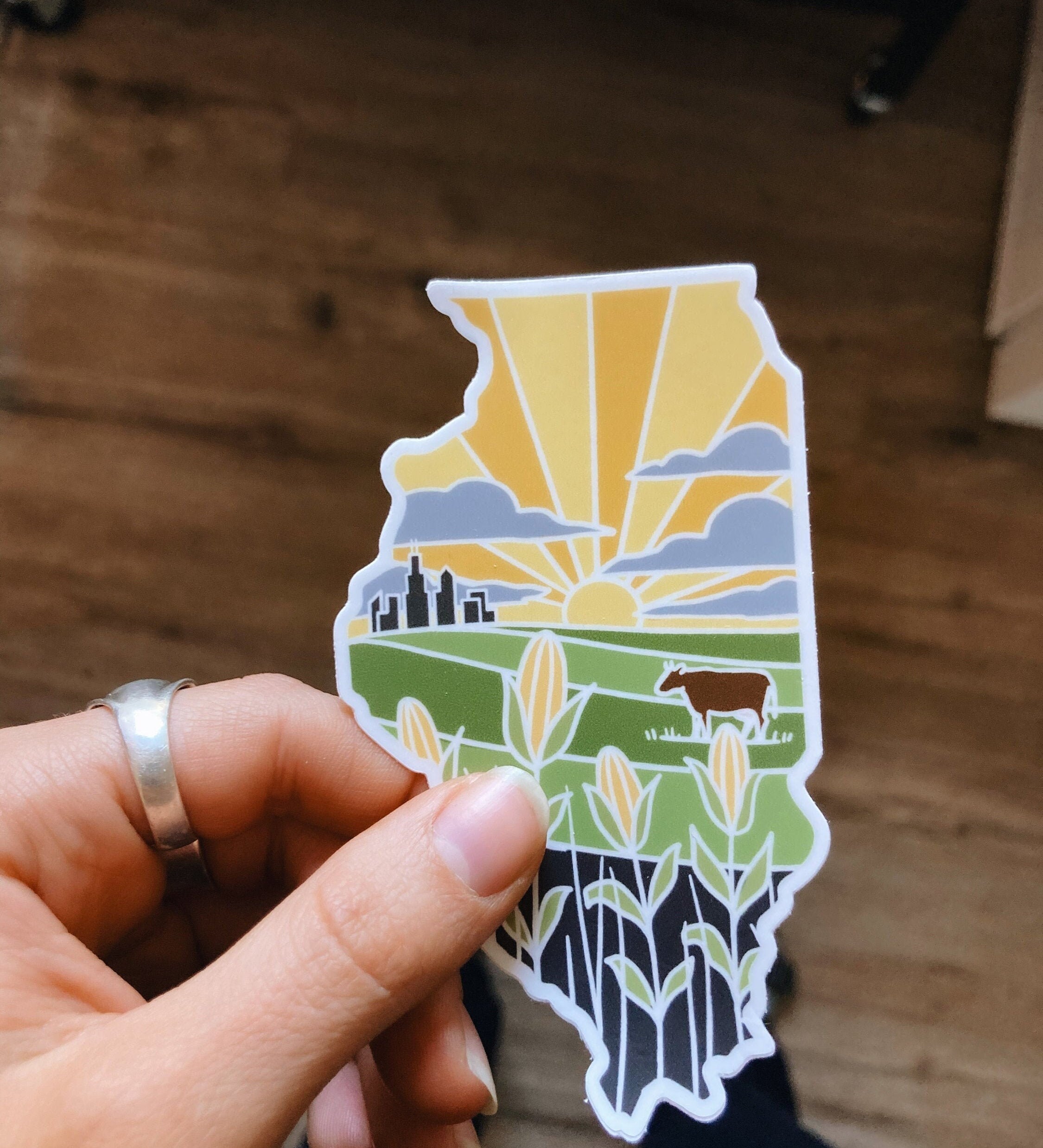 Illinois Weatherproof Durable Sticker | Illinois Outline | Illustrated State Sticker | Vinyl Decal | Outdoor Sticker | Bumper Sticker | 4"
