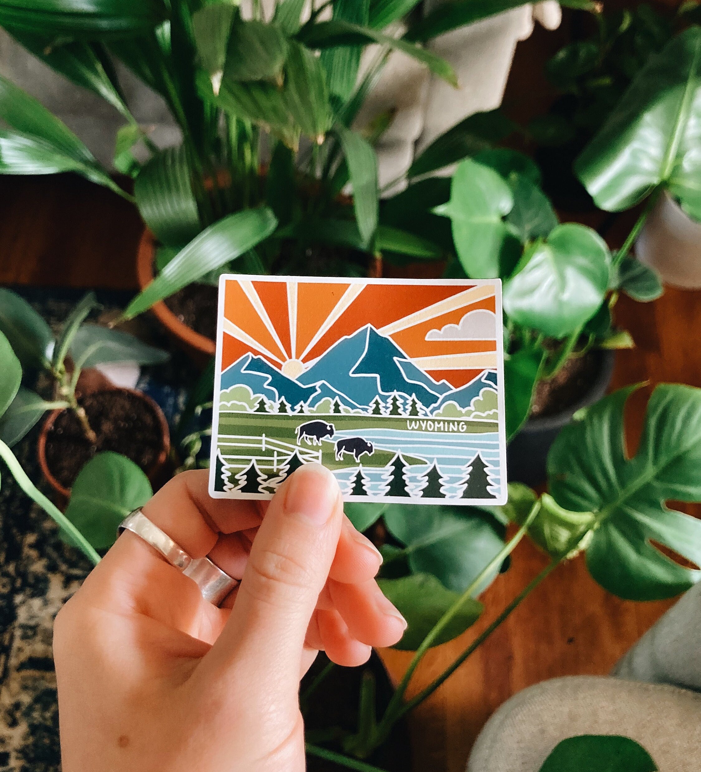 Wyoming Car Magnet | Car Magnet | Outdoorsy Magnet | Locker Magnet | Fridge Magnet | Lightweight Magnet