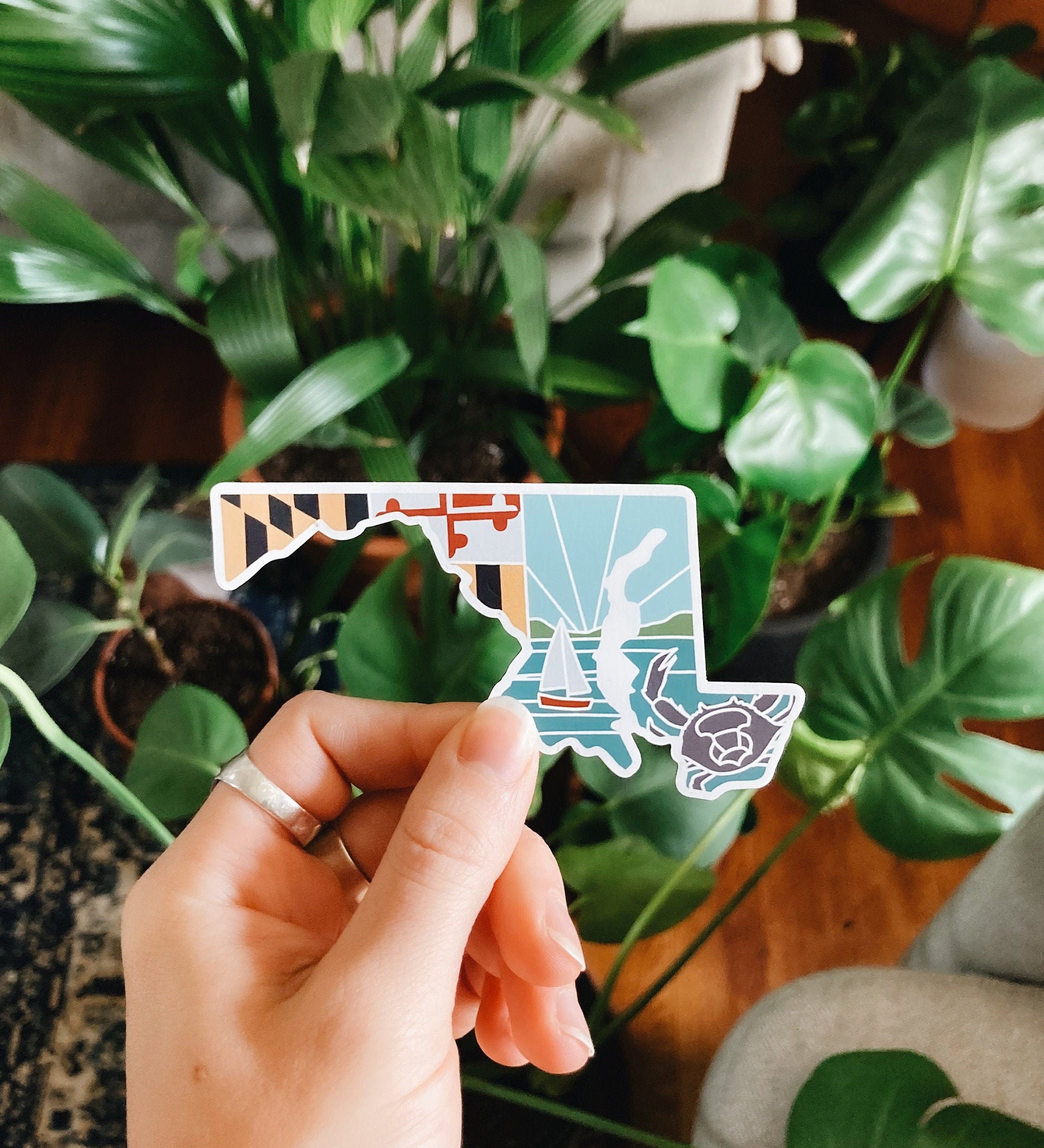 Maryland Car Magnet | Car Magnet | Outdoorsy Magnet | Maryland Gift | Locker Magnet | Fridge Magnet | Lightweight Magnet