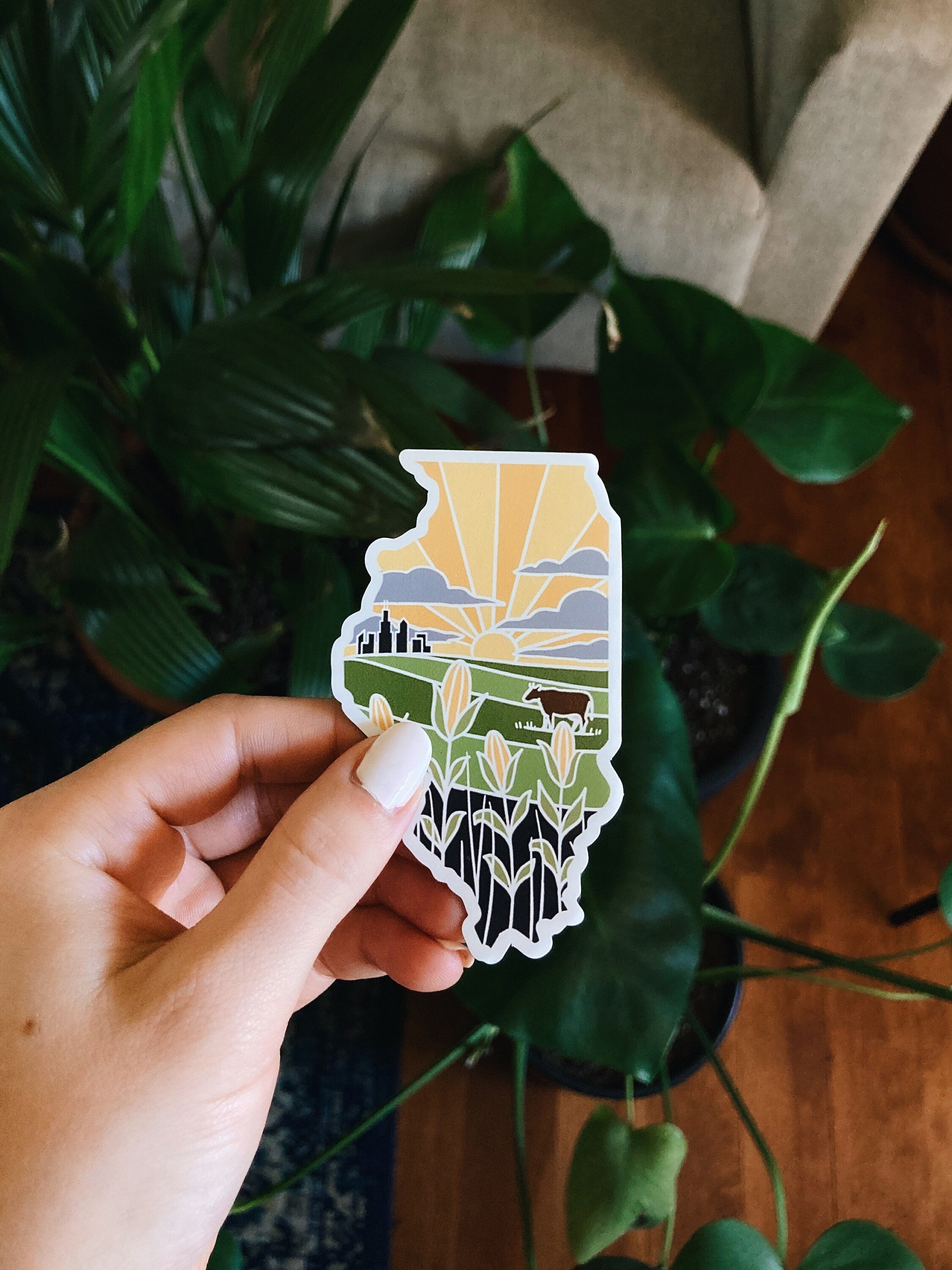 Illinois Magnet | Car Magnet | Car Magnet | Illinois Gift | Locker Magnet | Fridge Magnet | Decorative Magnet