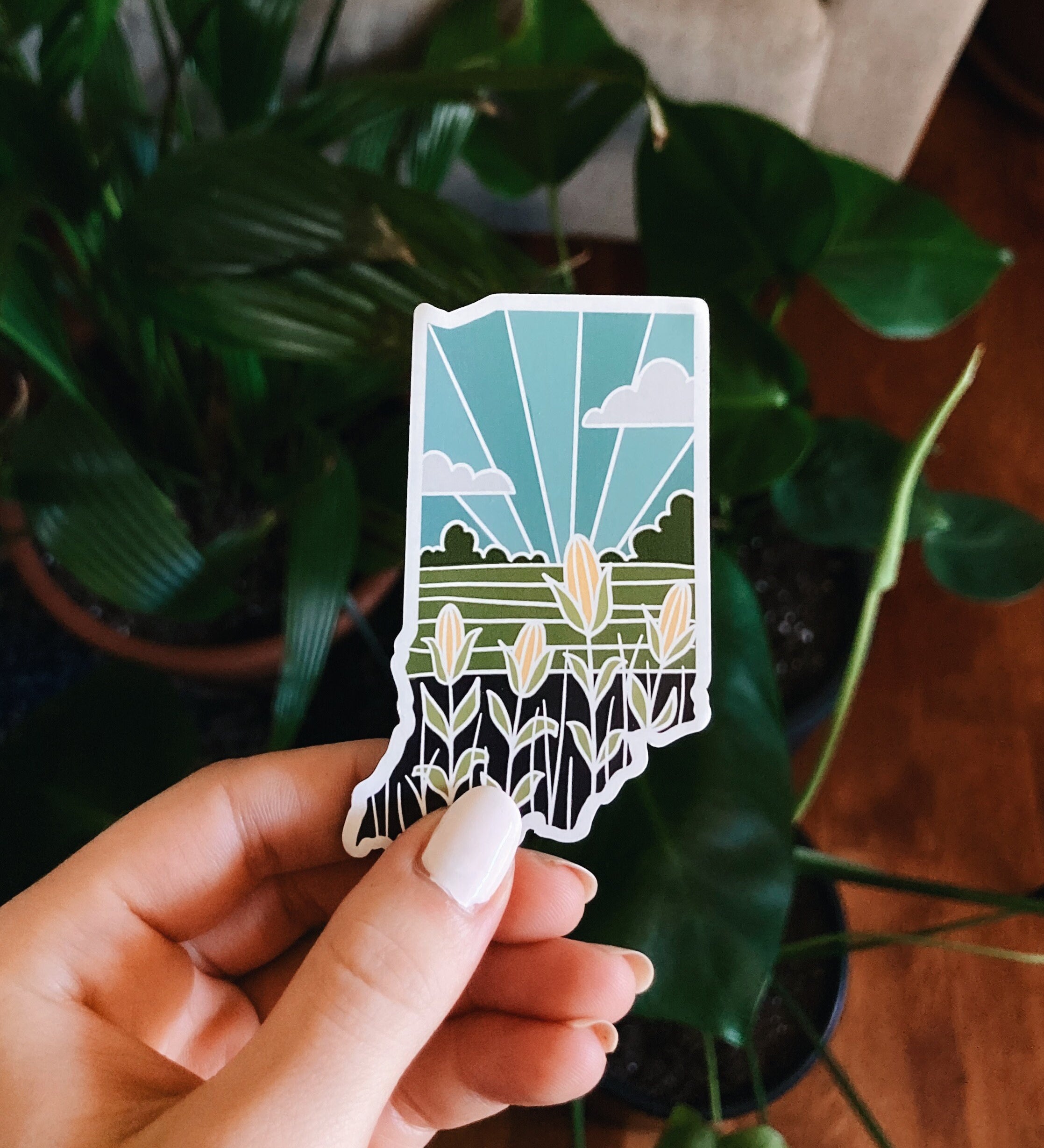Indiana Magnet | Car Magnet | Weatherproof Magnet | Indiana Gift | Locker Magnet | Fridge Magnet | Decorative Magnet
