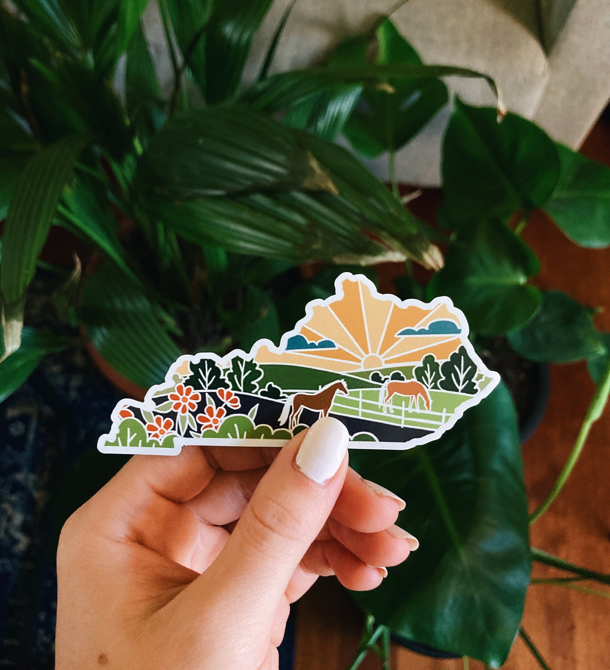 Kentucky Car Magnet | State Magnet | Weatherproof Magnet | Kentucky Gift | Locker Magnet | Fridge Magnet | Decorative Magnet