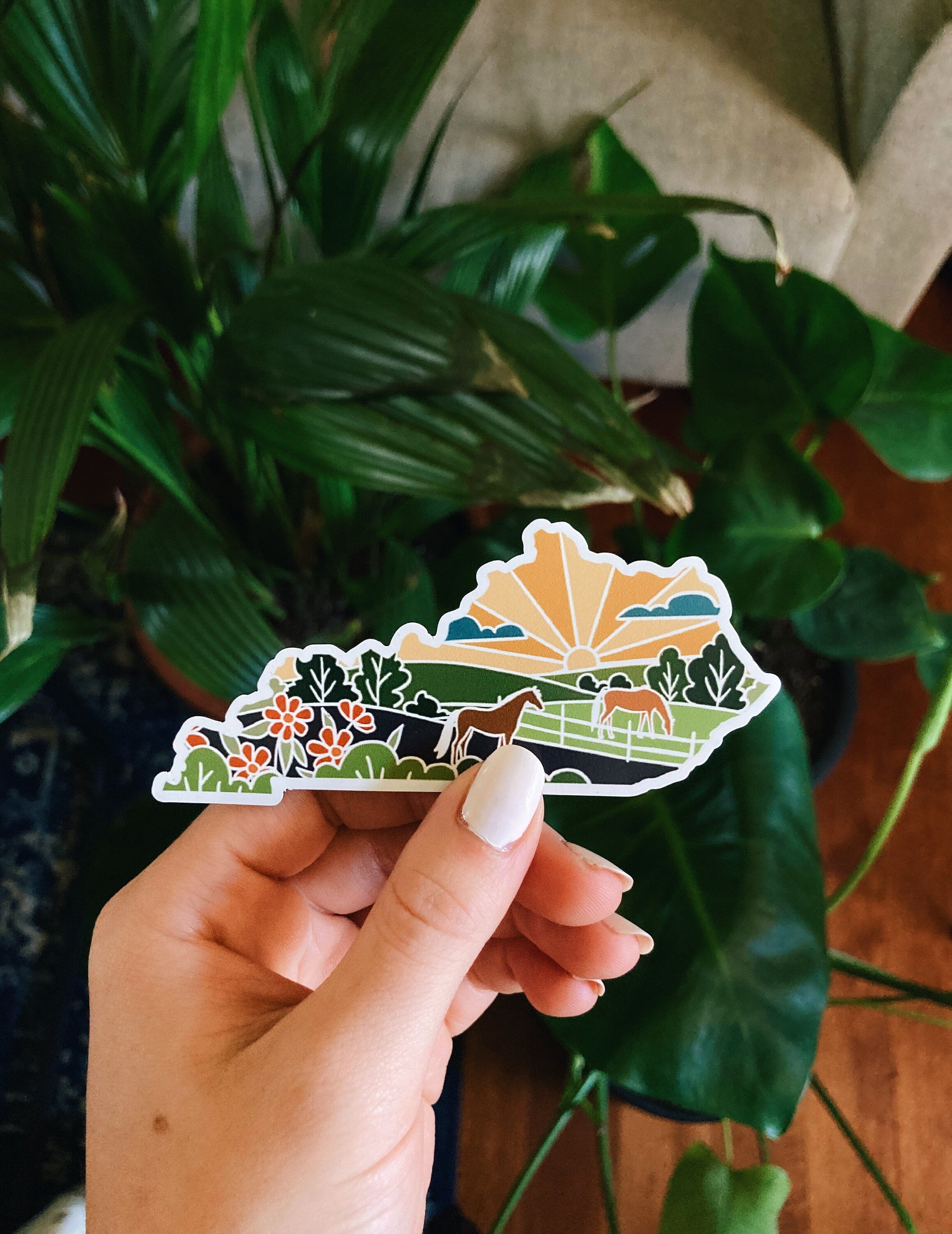 Kentucky Car Magnet | State Magnet | Weatherproof Magnet | Kentucky Gift | Locker Magnet | Fridge Magnet | Decorative Magnet