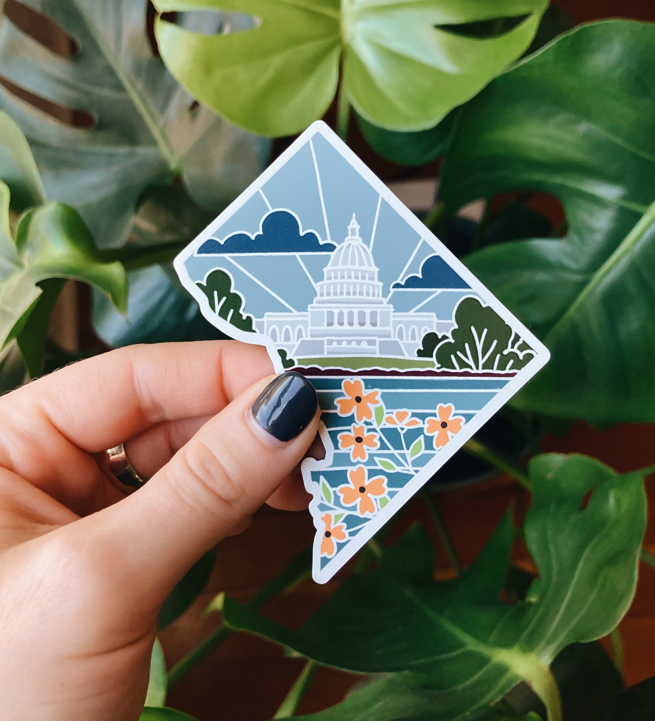 Washington D.C. Car Magnet | Car Magnet | Outdoorsy Magnet | Locker Magnet | Fridge Magnet | Lightweight Magnet