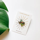 Texas Enamel Pin | Gold Soft Enamel Pin | Illustrated United State Pin | Butterfly Clasp | 1.25"