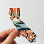 United States Sticker Pack | High Quality Bumper Stickers | United States Vinyl Decals | Weatherproof State Stickers | Water Bottle Stickers