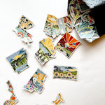 United States Magnet Pack | Weatherproof State Magnets | Outdoorsy Magnets | Locker Magnets | Fridge Magnets | Lightweight Magnets |