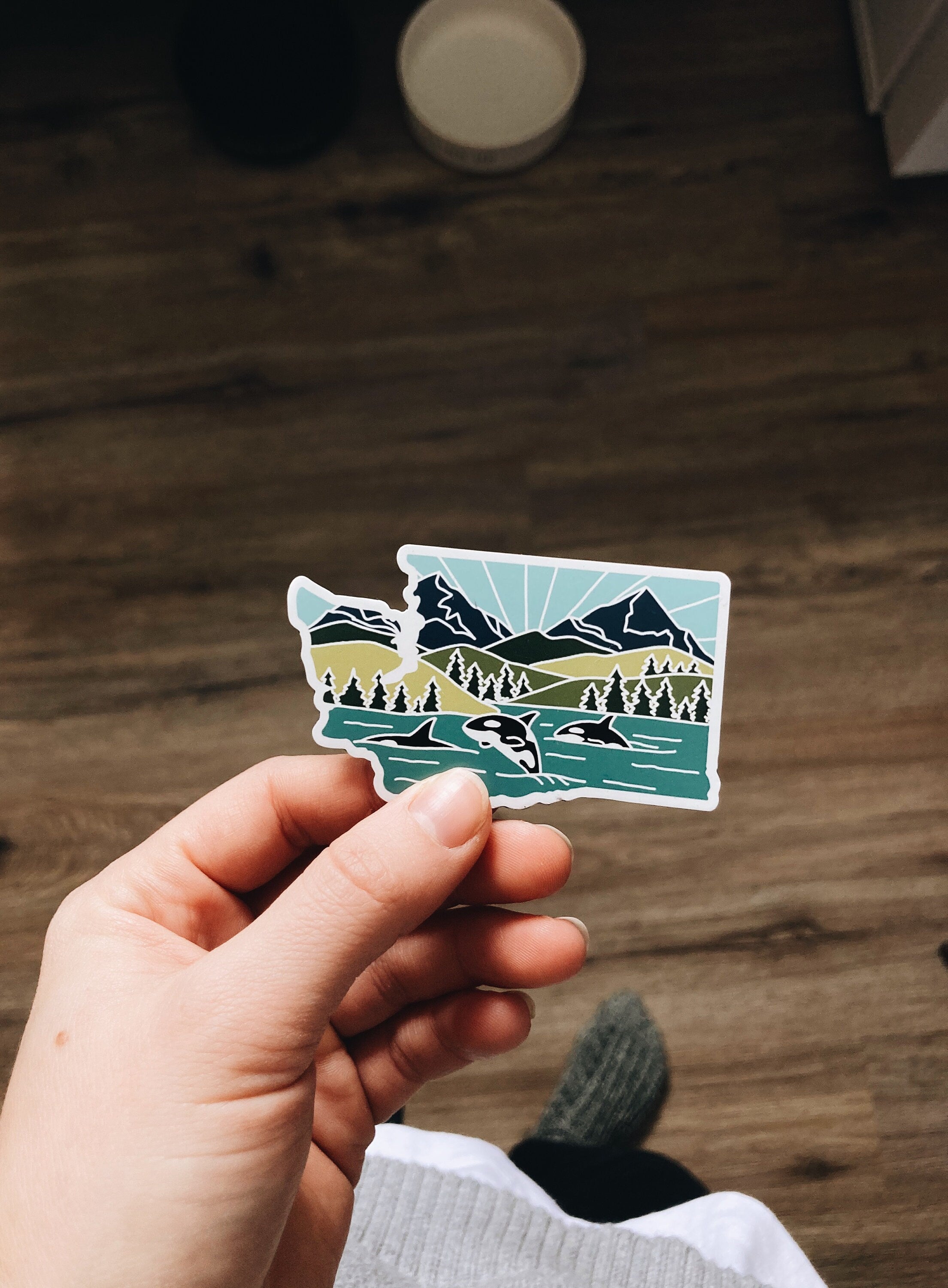 United States Magnet Pack | Weatherproof State Magnets | Outdoorsy Magnets | Locker Magnets | Fridge Magnets | Lightweight Magnets |
