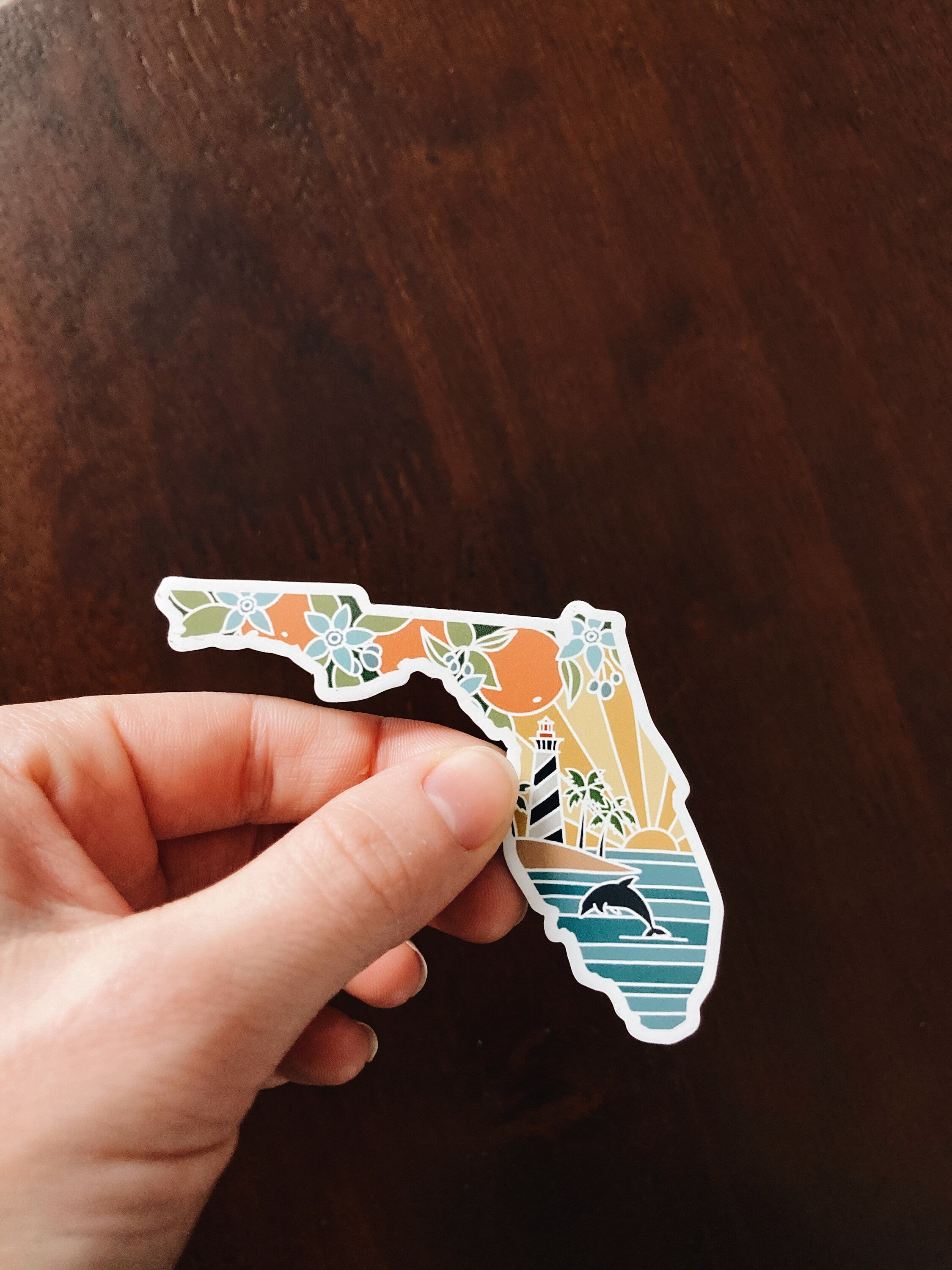United States Magnet Pack | Weatherproof State Magnets | Outdoorsy Magnets | Locker Magnets | Fridge Magnets | Lightweight Magnets |